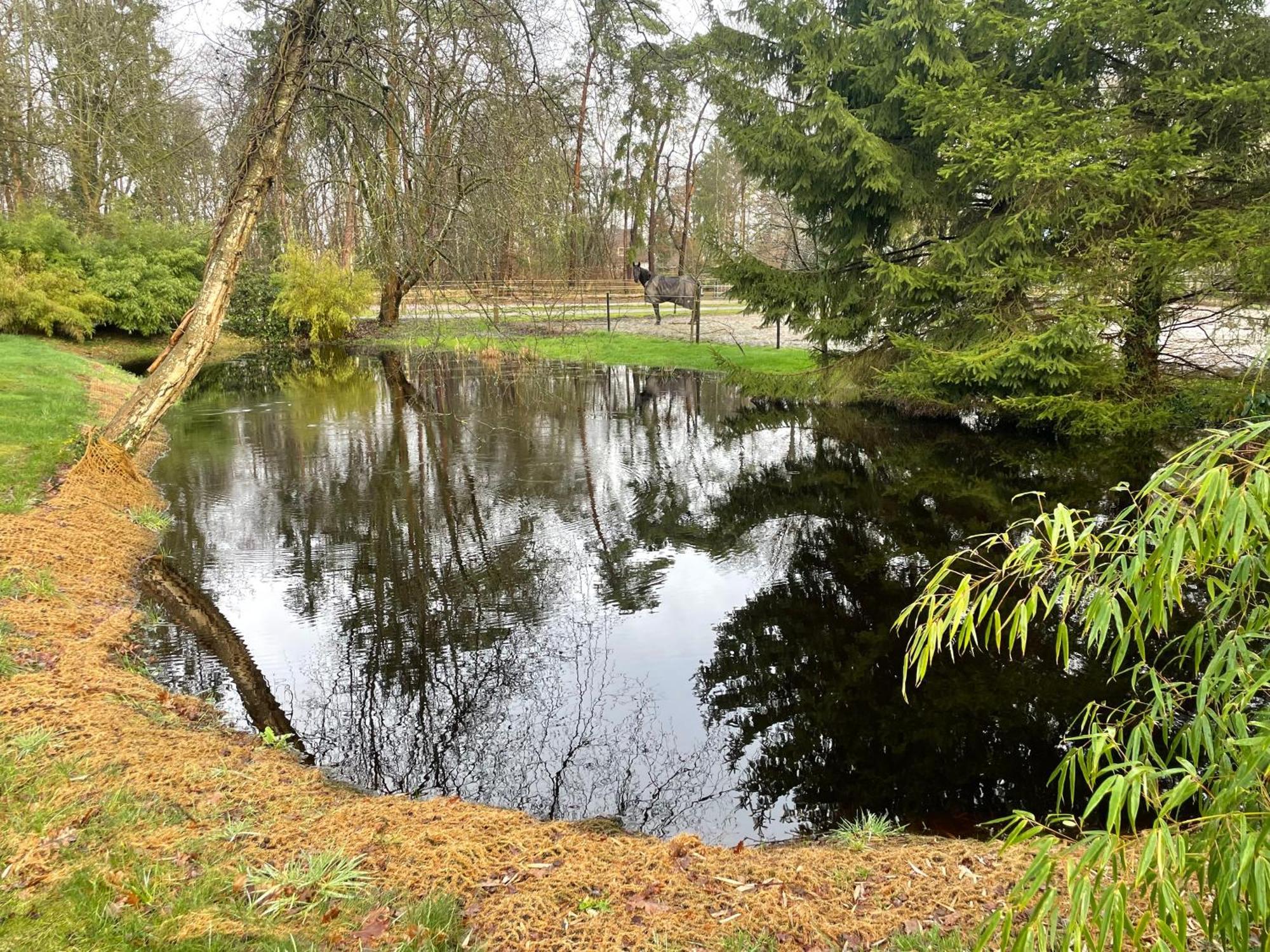 Haus Am Teich Apartment Worpswede Bagian luar foto
